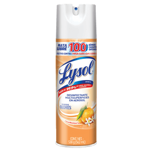 Lysol/Lizol - CL - es-CL-3023997.png